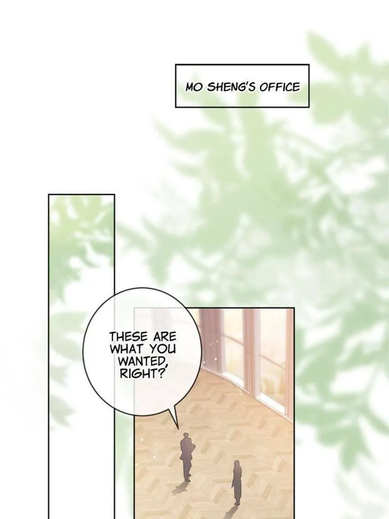 A Professional Assassin Raises a Fox Chapter 44 page 1 - 
