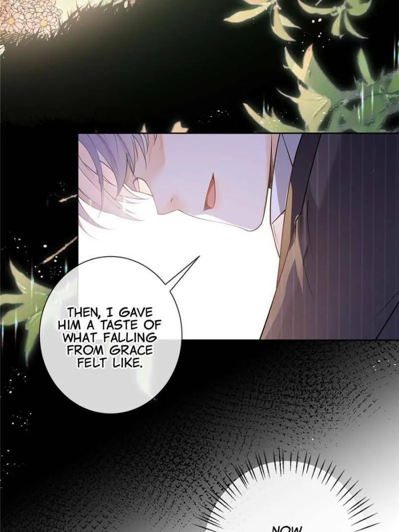 A Professional Assassin Raises a Fox Chapter 52 page 41 - 