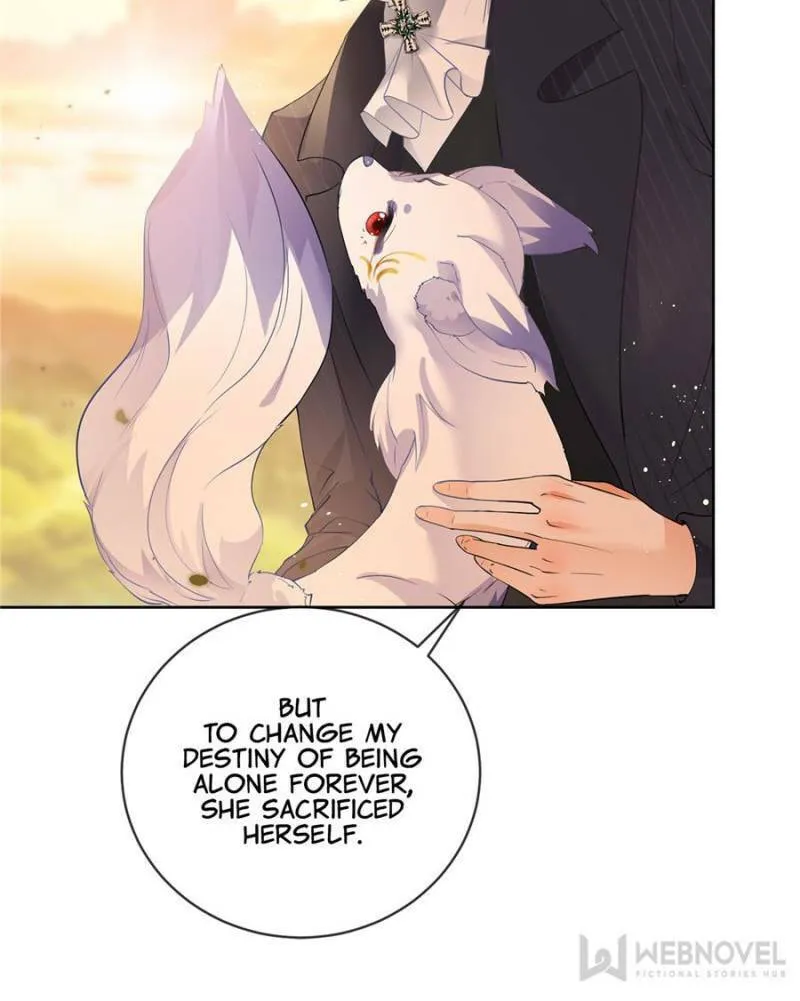 A Professional Assassin Raises a Fox Chapter 53 page 4 - 