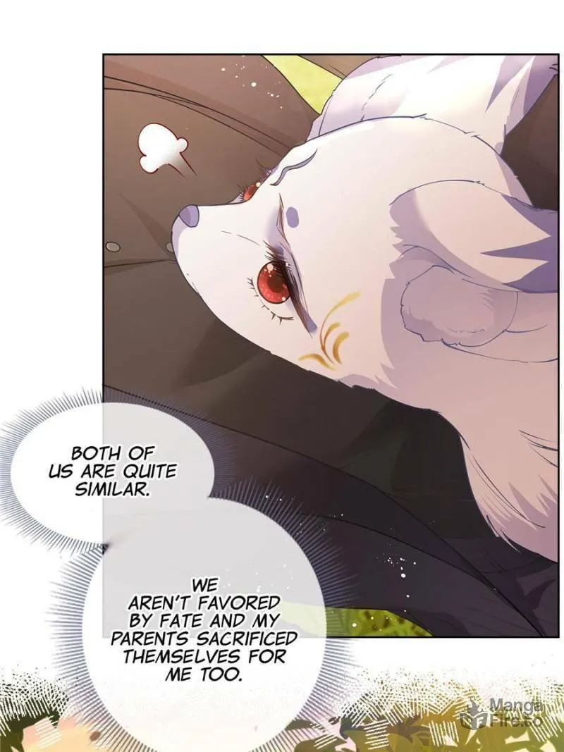 A Professional Assassin Raises a Fox Chapter 53 page 5 - 