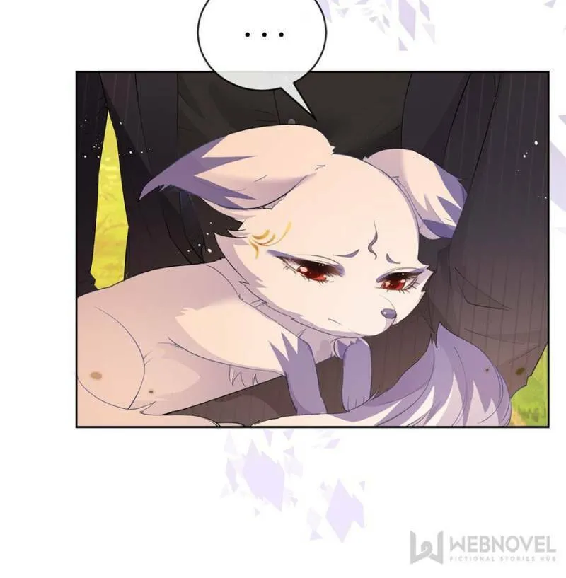 A Professional Assassin Raises a Fox Chapter 53 page 8 - 