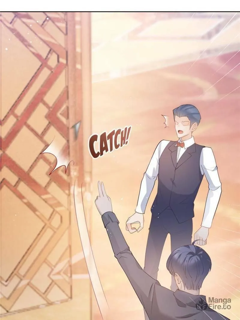 A Professional Assassin Raises a Fox Chapter 61 page 12 - 