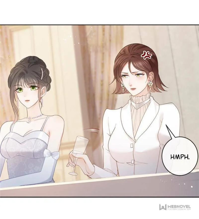 A Professional Assassin Raises a Fox Chapter 62 page 4 - 