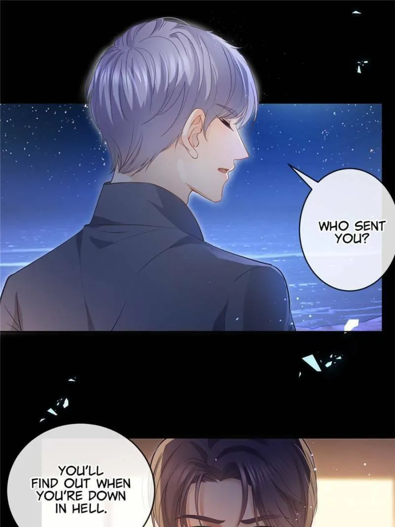A Professional Assassin Raises a Fox Chapter 62 page 31 - 
