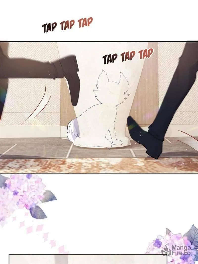 A Professional Assassin Raises a Fox Chapter 69 page 21 - 