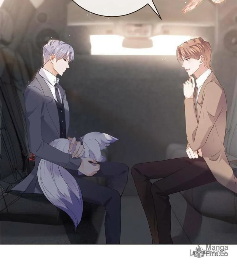 A Professional Assassin Raises a Fox Chapter 69 page 39 - 