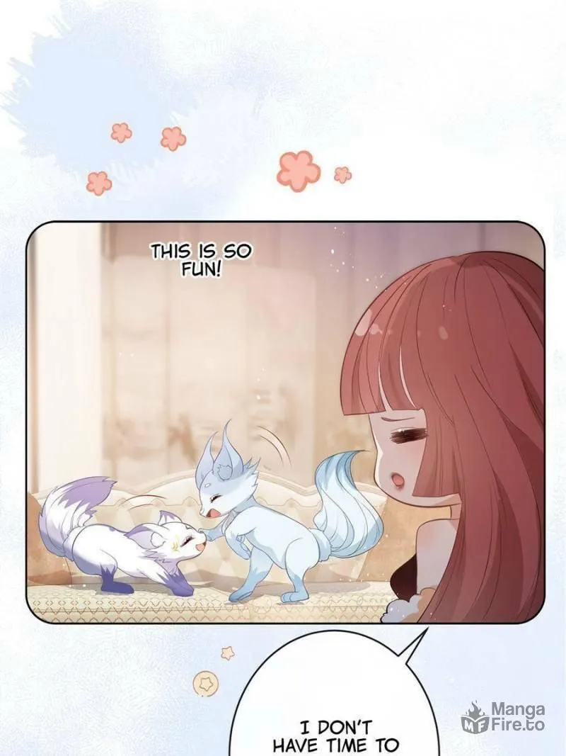 A Professional Assassin Raises a Fox Chapter 69 page 5 - 