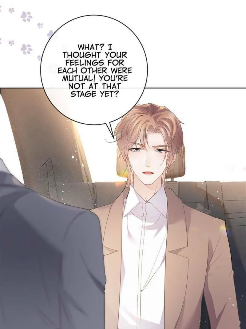 A Professional Assassin Raises a Fox Chapter 69 page 41 - 