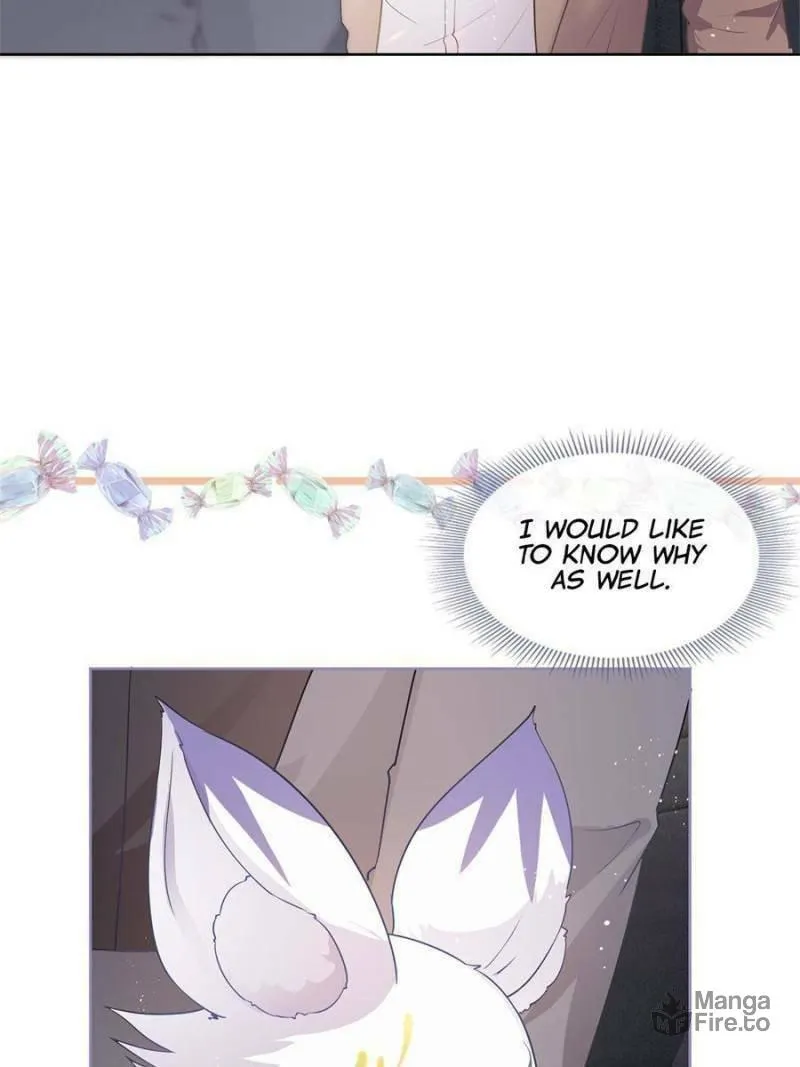 A Professional Assassin Raises a Fox Chapter 69 page 42 - 
