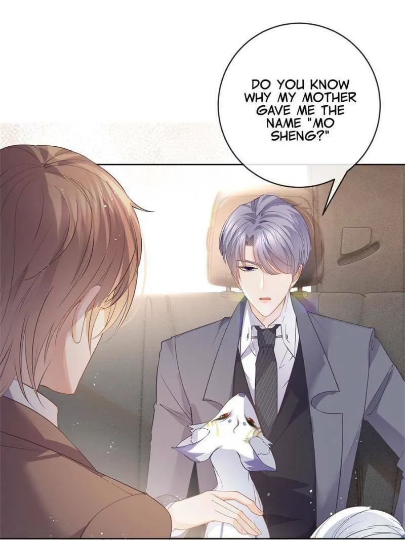A Professional Assassin Raises a Fox Chapter 70 page 11 - 