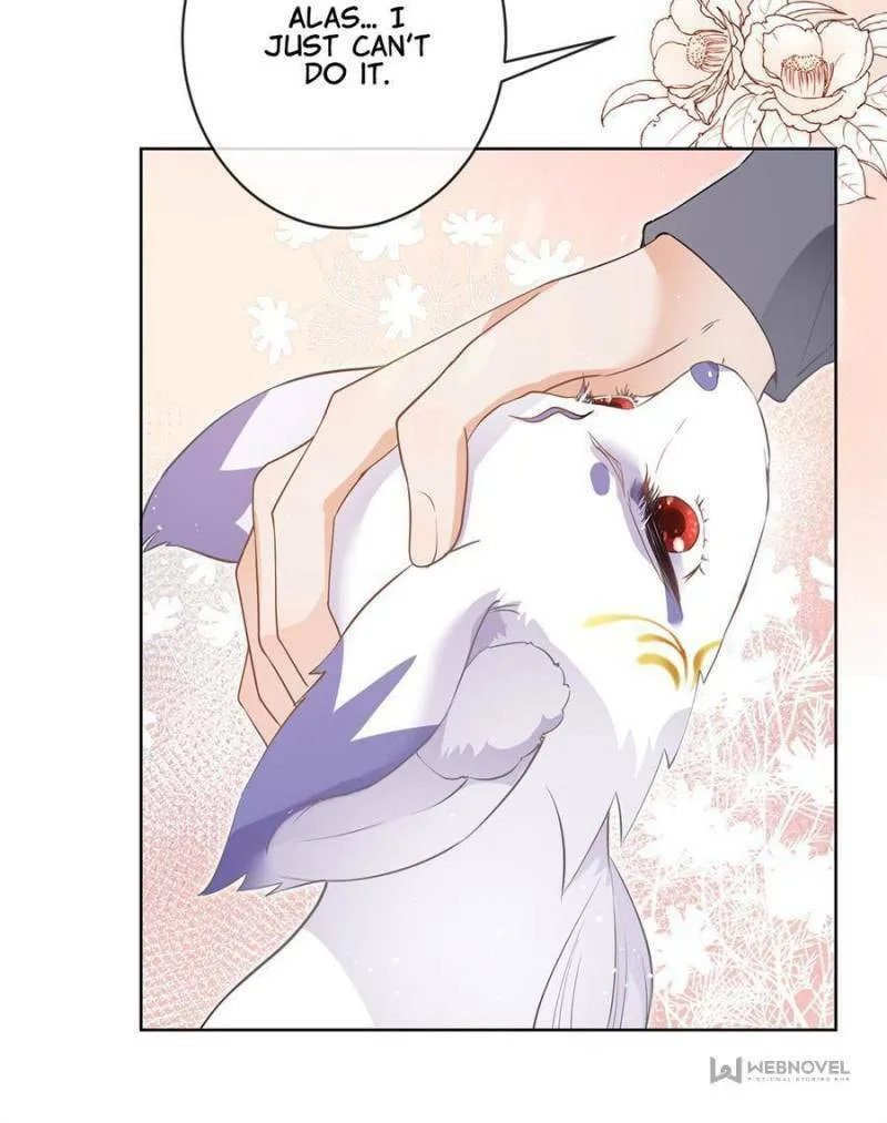 A Professional Assassin Raises a Fox Chapter 70 page 14 - 