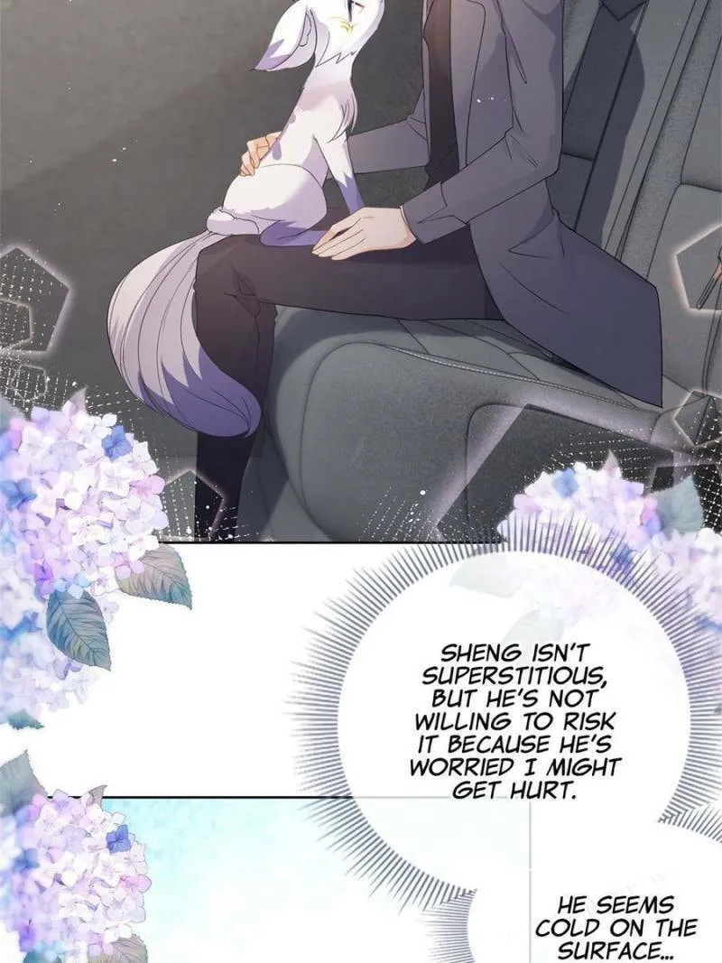 A Professional Assassin Raises a Fox Chapter 70 page 17 - 