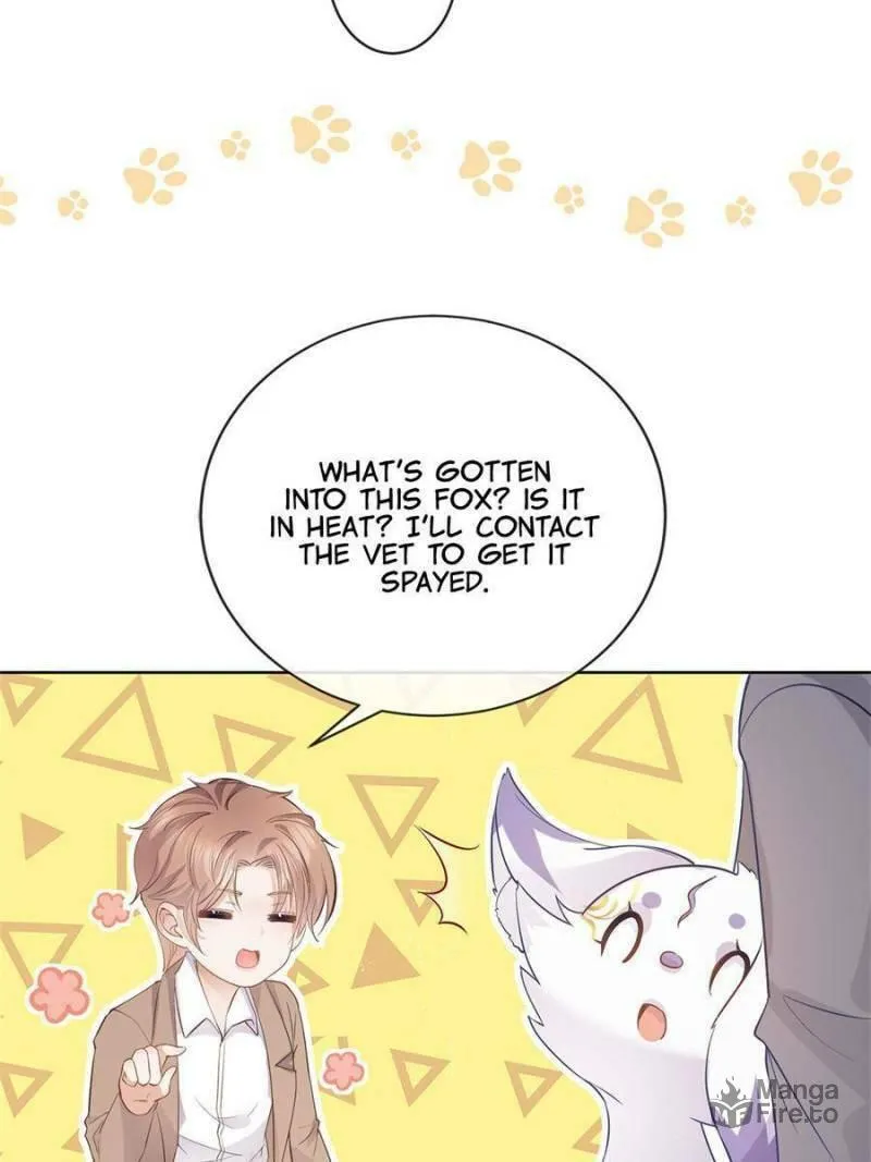 A Professional Assassin Raises a Fox Chapter 70 page 21 - 