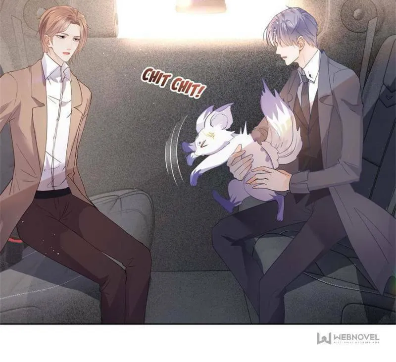 A Professional Assassin Raises a Fox Chapter 70 page 23 - 