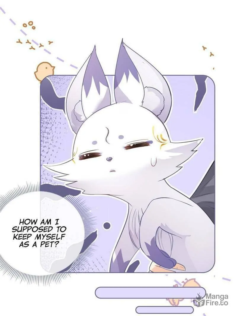 A Professional Assassin Raises a Fox Chapter 70 page 24 - 