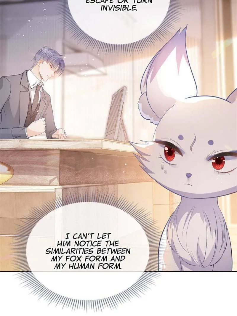 A Professional Assassin Raises a Fox Chapter 70 page 34 - 