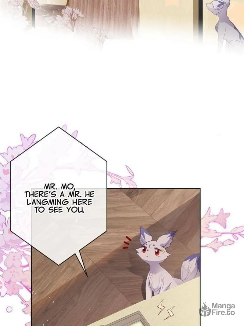 A Professional Assassin Raises a Fox Chapter 70 page 42 - 