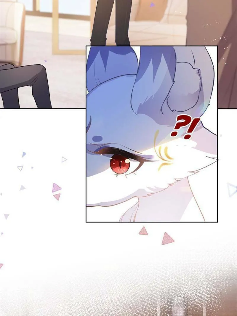 A Professional Assassin Raises a Fox Chapter 71 page 16 - 