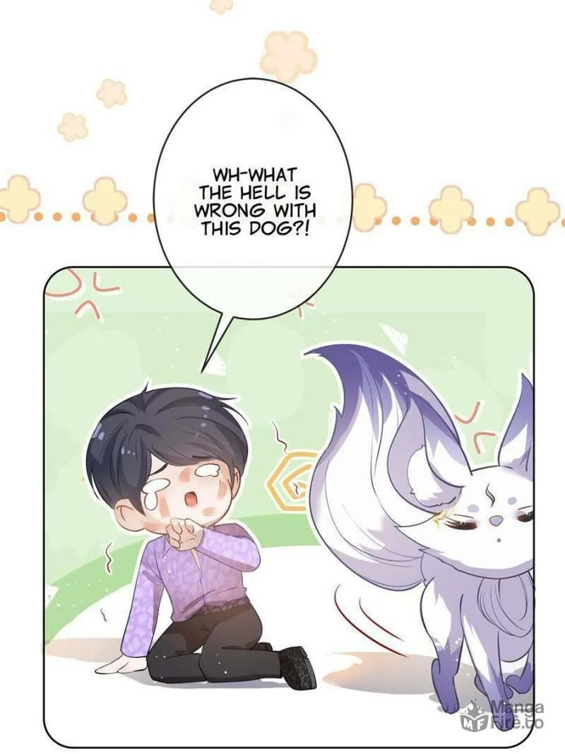 A Professional Assassin Raises a Fox Chapter 71 page 24 - 