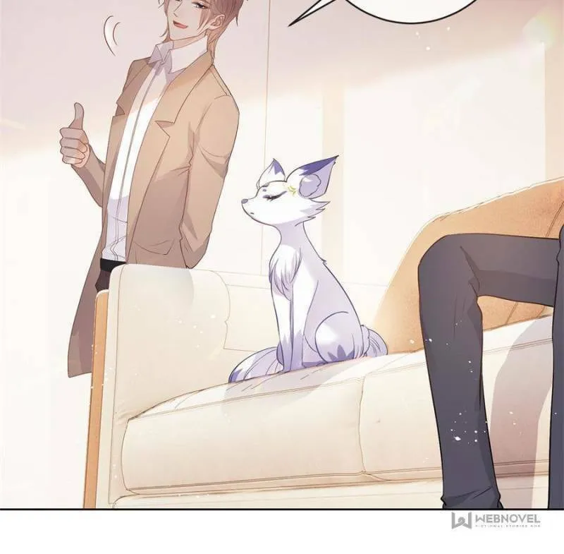 A Professional Assassin Raises a Fox Chapter 71 page 26 - 