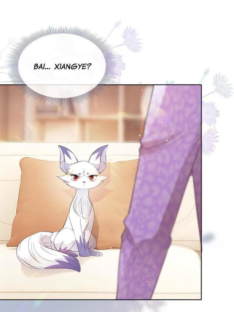 A Professional Assassin Raises a Fox Chapter 71 page 31 - 