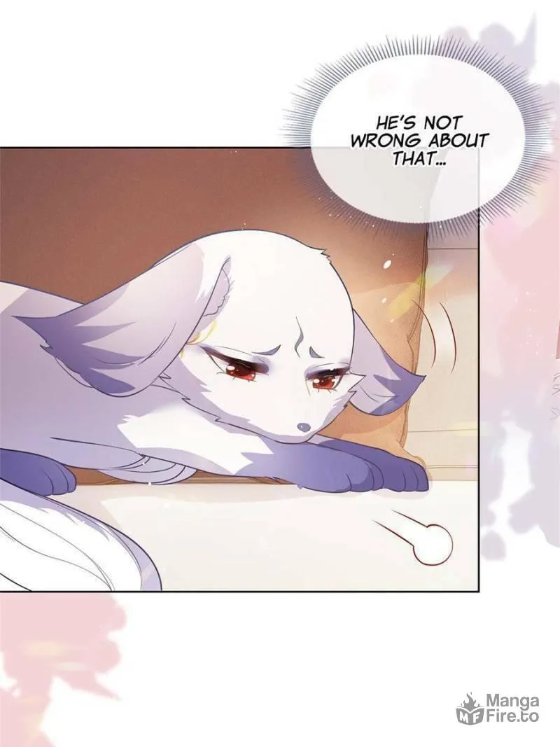 A Professional Assassin Raises a Fox Chapter 71 page 40 - 