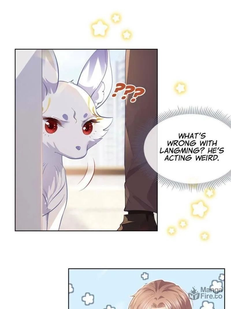 A Professional Assassin Raises a Fox Chapter 71 page 5 - 