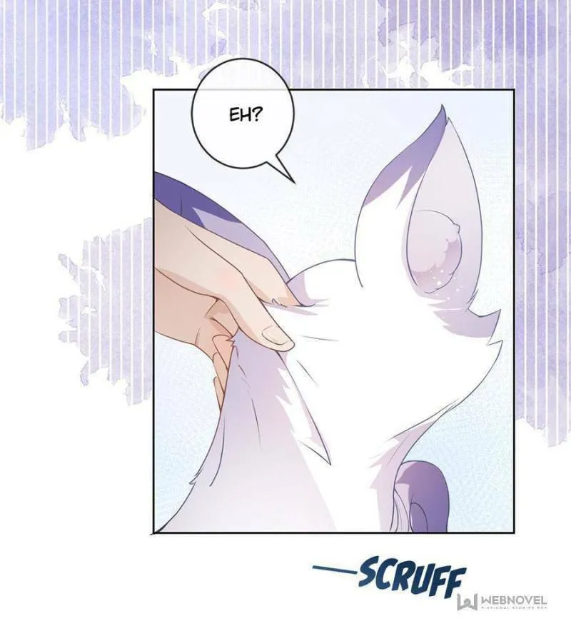 A Professional Assassin Raises a Fox Chapter 72 page 37 - 