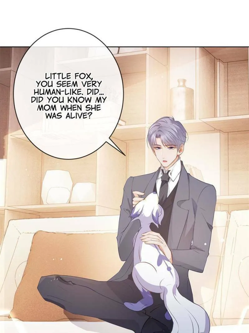A Professional Assassin Raises a Fox Chapter 72 page 38 - 