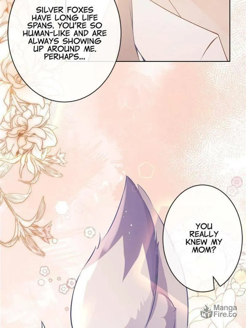 A Professional Assassin Raises a Fox Chapter 72 page 42 - 