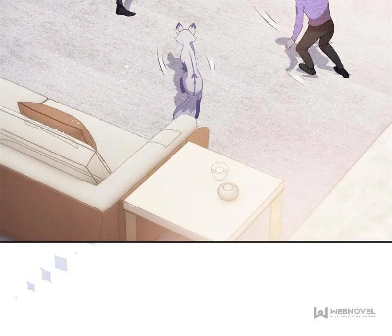 A Professional Assassin Raises a Fox Chapter 72 page 8 - 