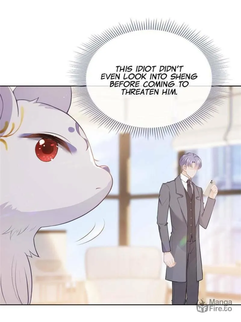 A Professional Assassin Raises a Fox Chapter 72 page 9 - 
