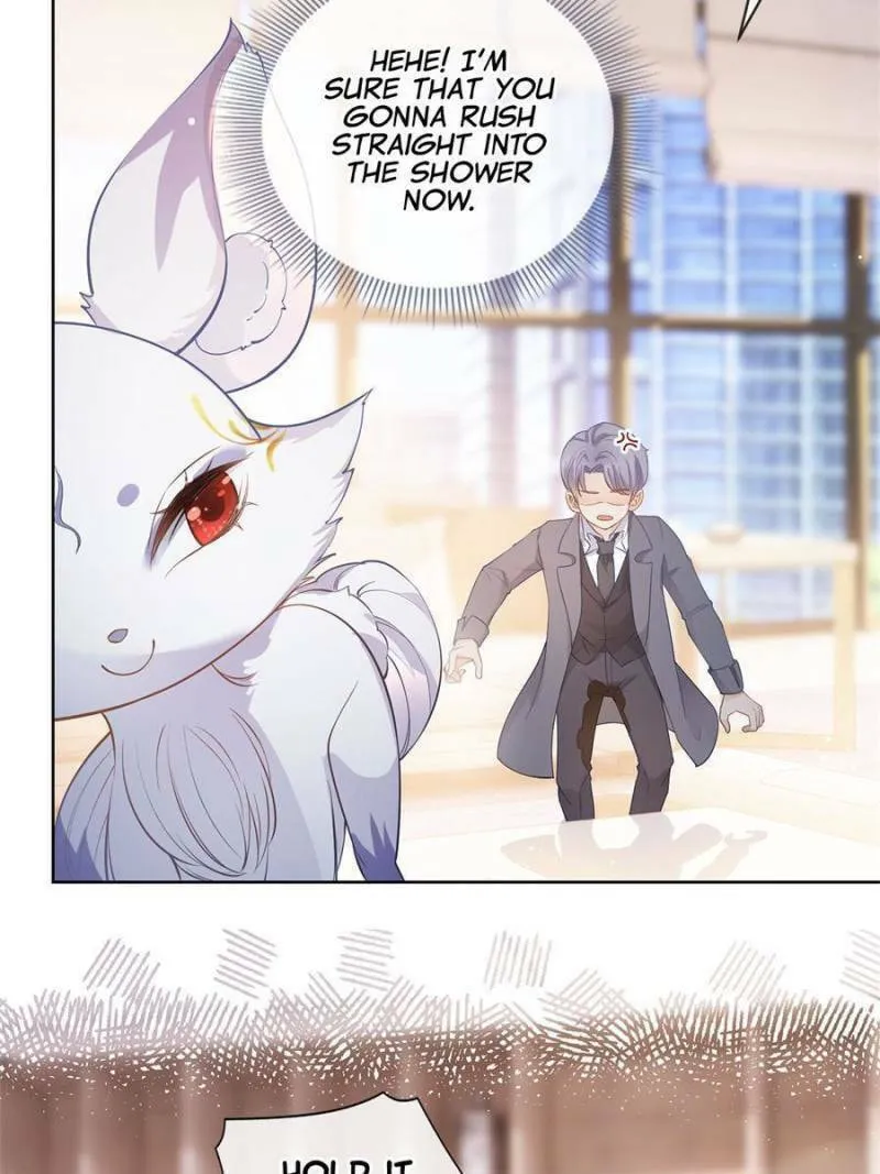 A Professional Assassin Raises a Fox Chapter 73 page 11 - 