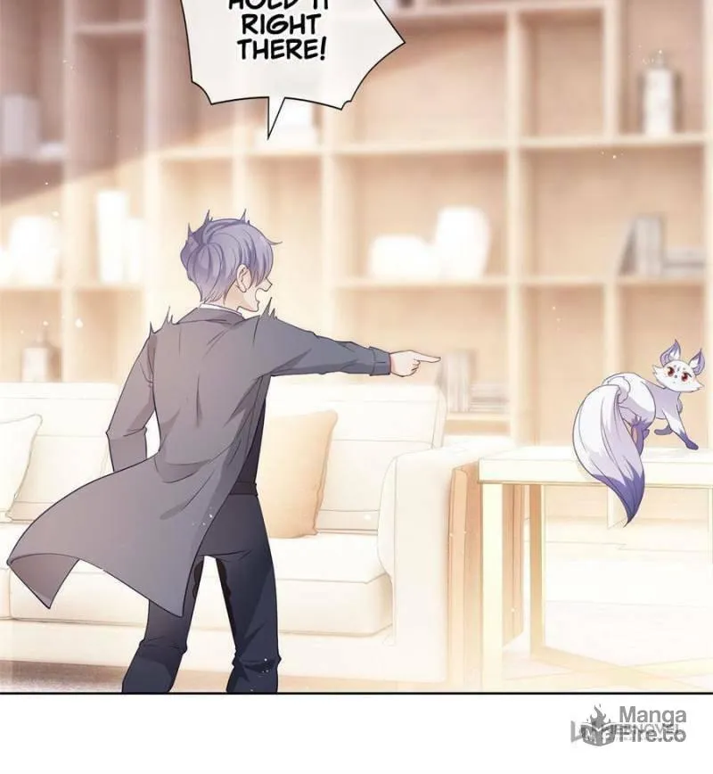 A Professional Assassin Raises a Fox Chapter 73 page 12 - 