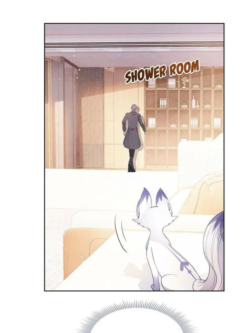 A Professional Assassin Raises a Fox Chapter 73 page 13 - 
