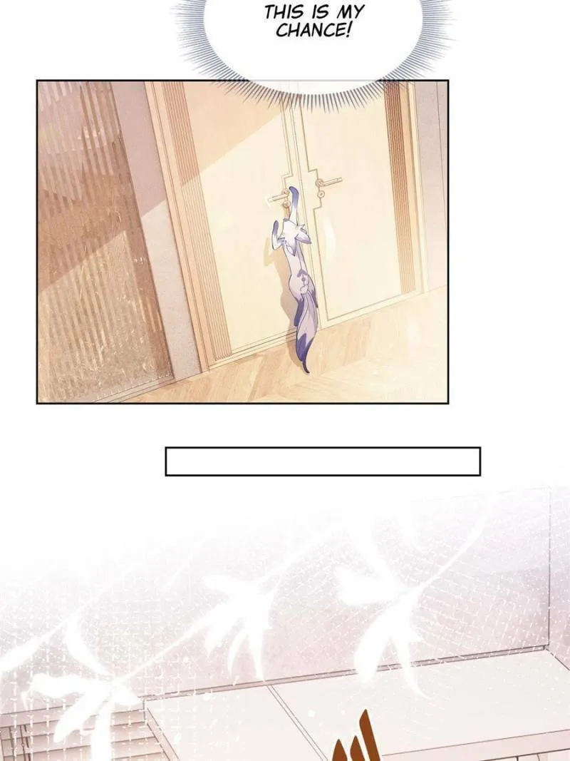 A Professional Assassin Raises a Fox Chapter 73 page 14 - 