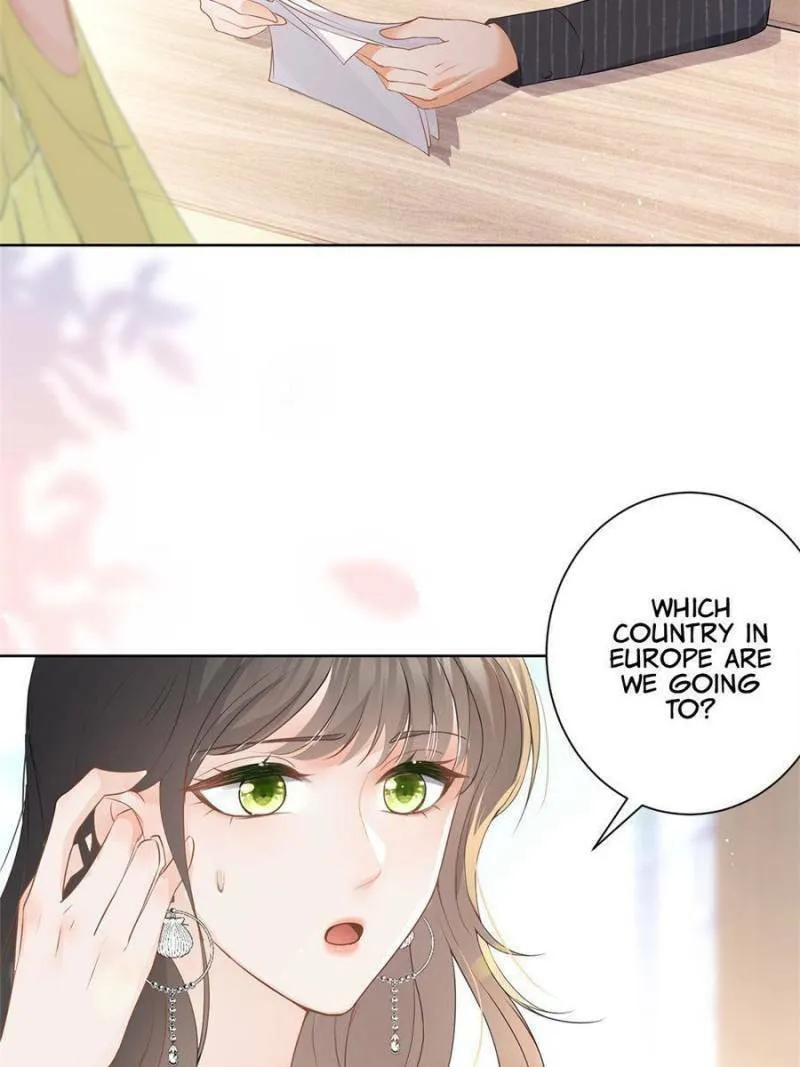 A Professional Assassin Raises a Fox Chapter 74 page 16 - 