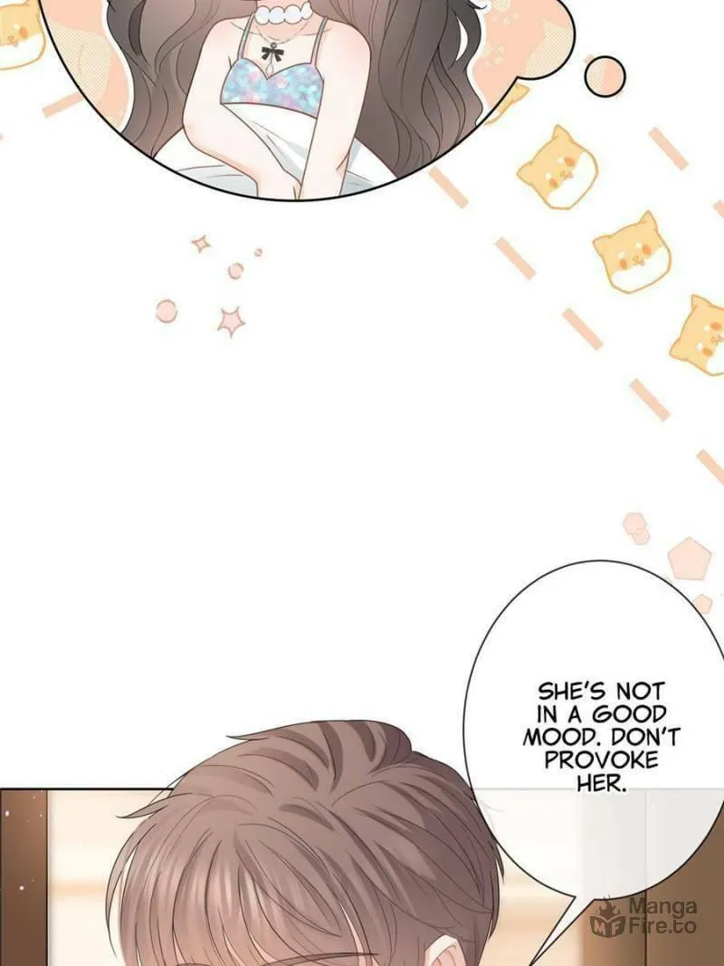 A Professional Assassin Raises a Fox Chapter 82 page 36 - 