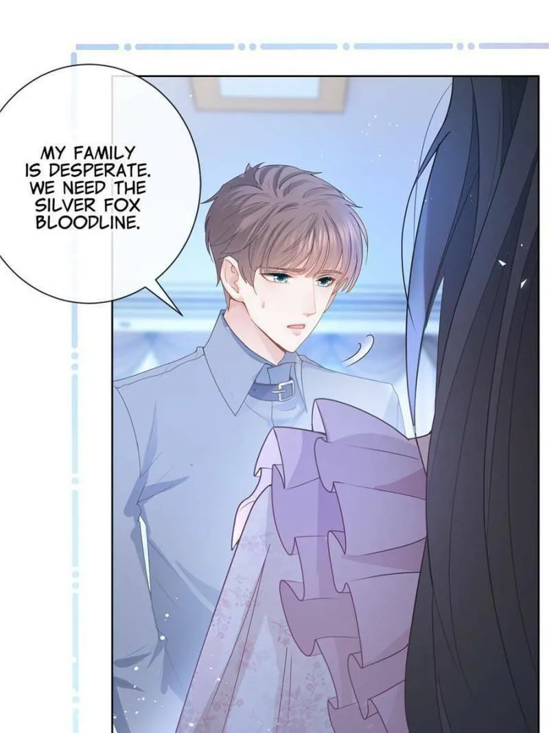 A Professional Assassin Raises a Fox Chapter 84 page 13 - 