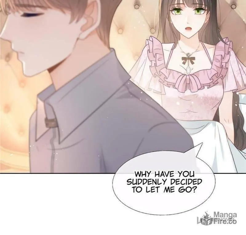 A Professional Assassin Raises a Fox Chapter 87 page 12 - 