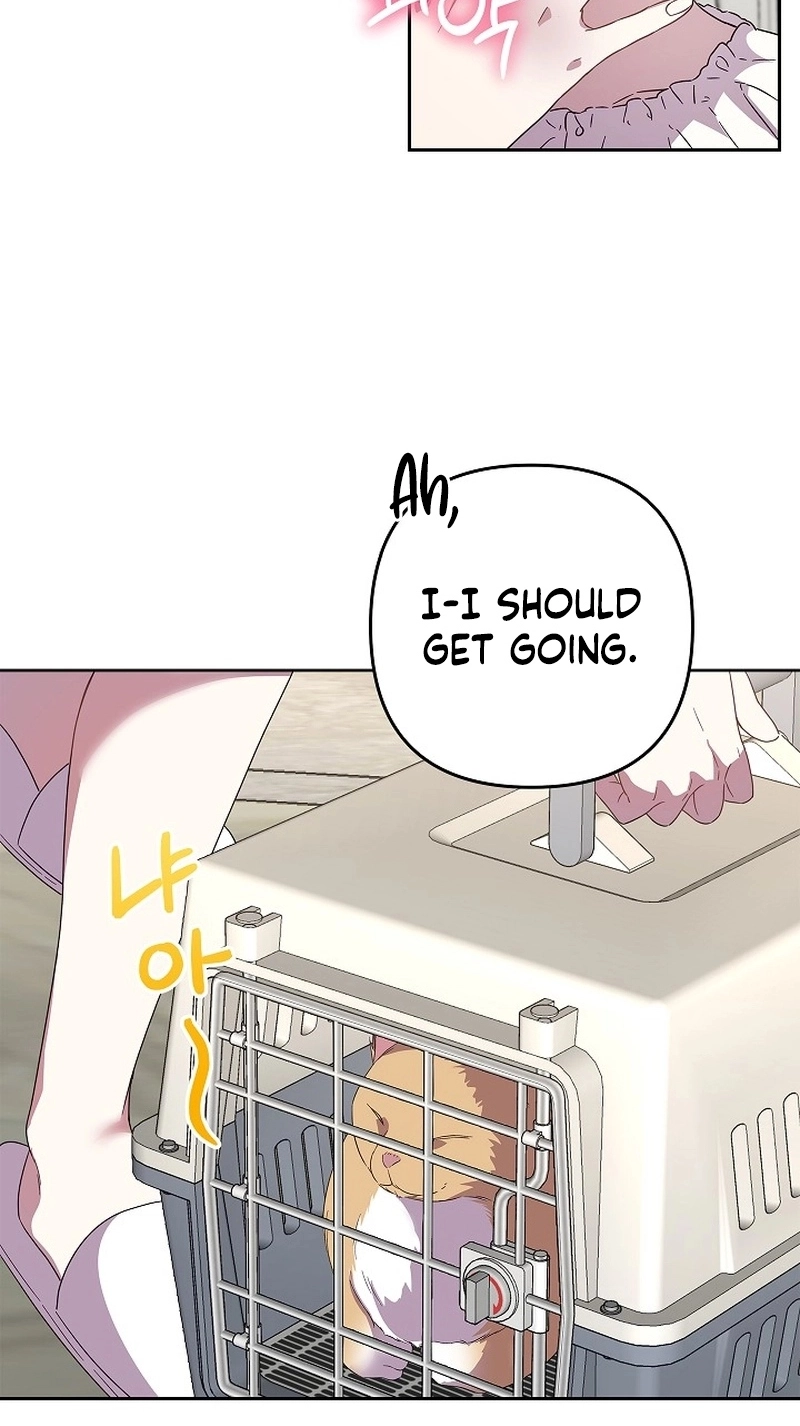 A Romance Beyond Boundaries Chapter 35 page 45 - 