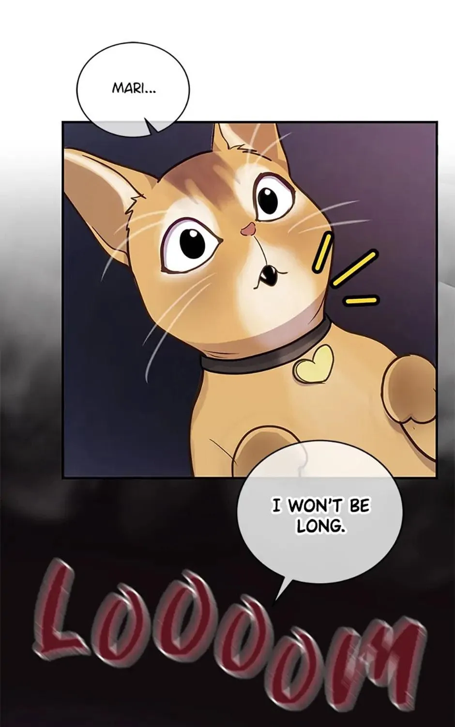 A Suspicious Confession Chapter 17 page 77 - 