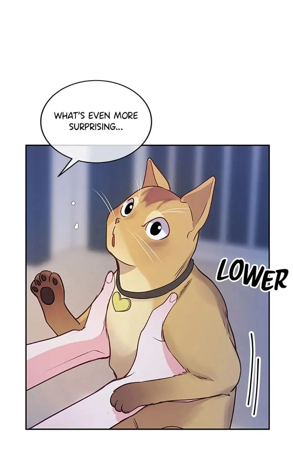 A Suspicious Confession Chapter 23 page 71 - 