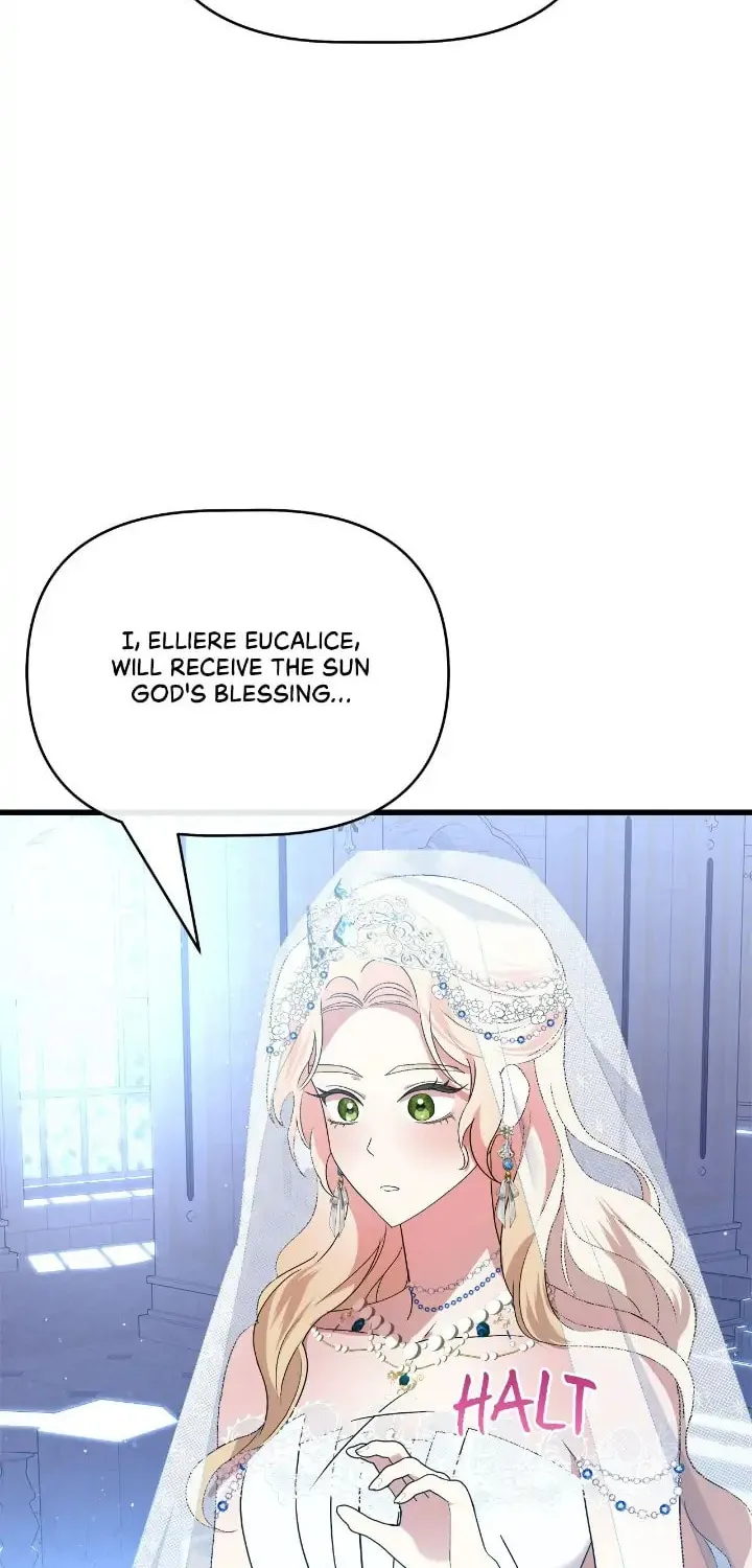 A Tipsy Marriage Proposal for the Emperor Chapter 15 page 92 - 