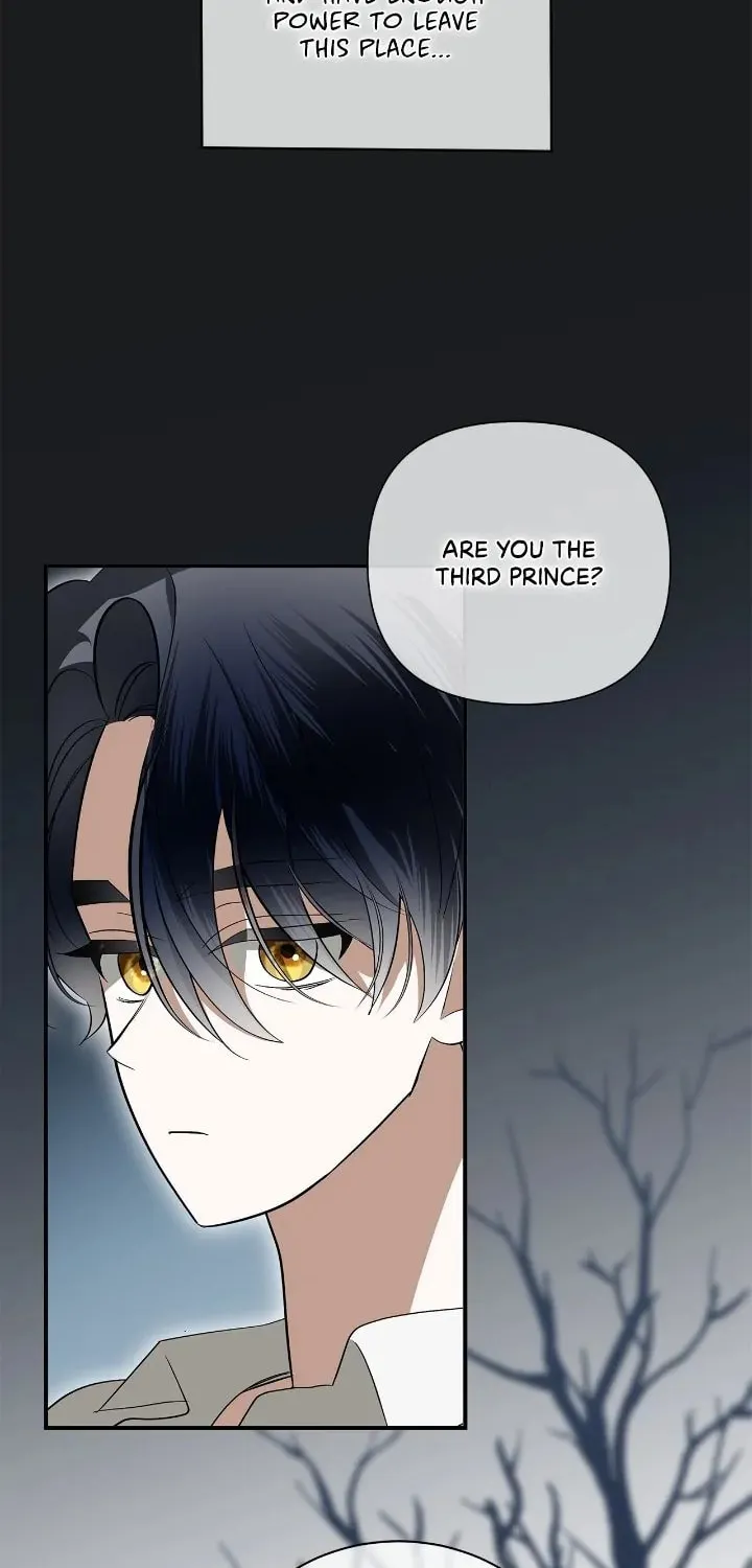 A Tipsy Marriage Proposal for the Emperor Chapter 58 page 12 - 