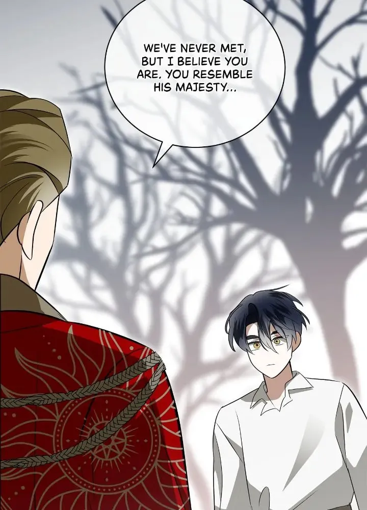 A Tipsy Marriage Proposal for the Emperor Chapter 58 page 13 - 