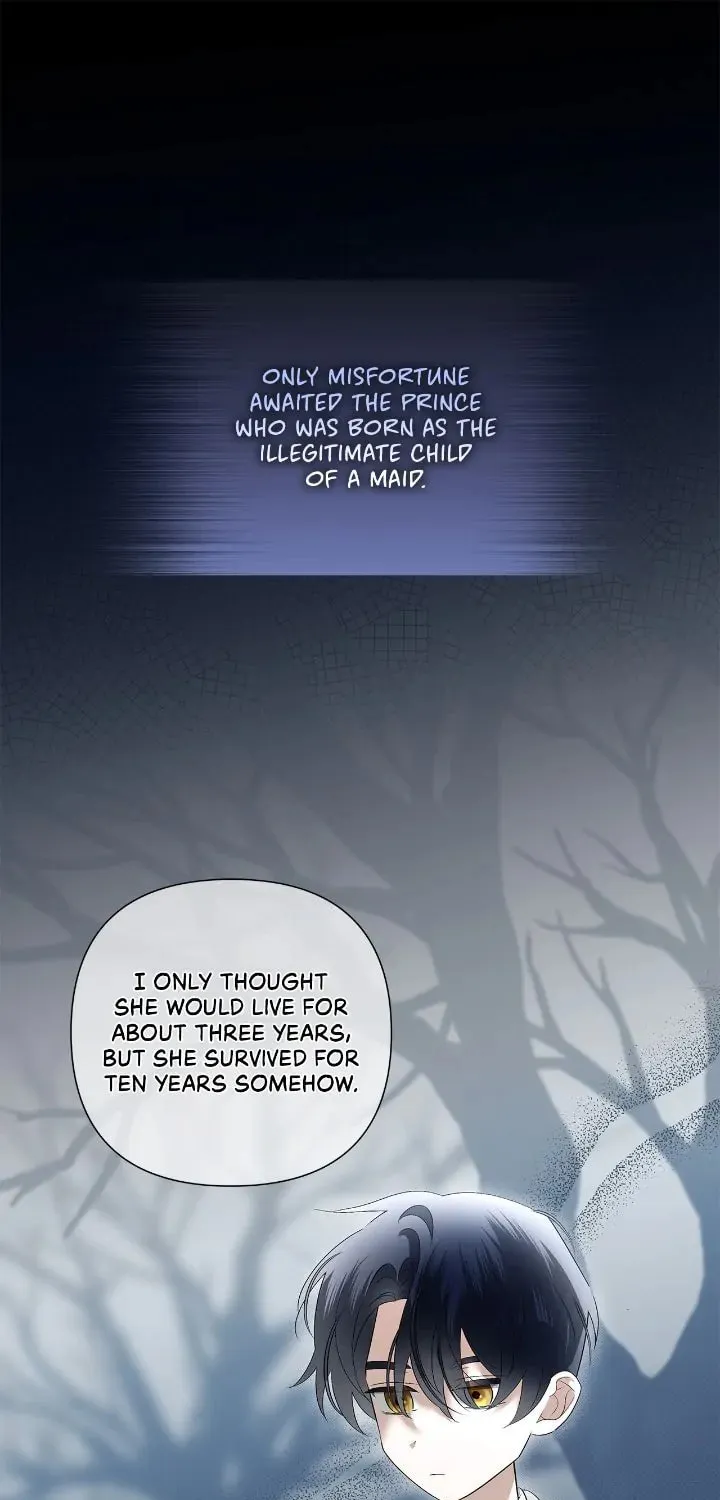 A Tipsy Marriage Proposal for the Emperor Chapter 58 page 3 - 