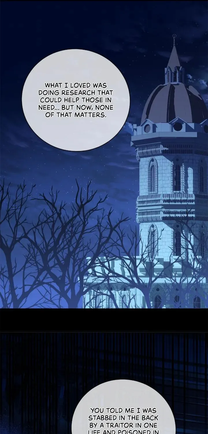 A Tipsy Marriage Proposal for the Emperor Chapter 61 page 12 - 