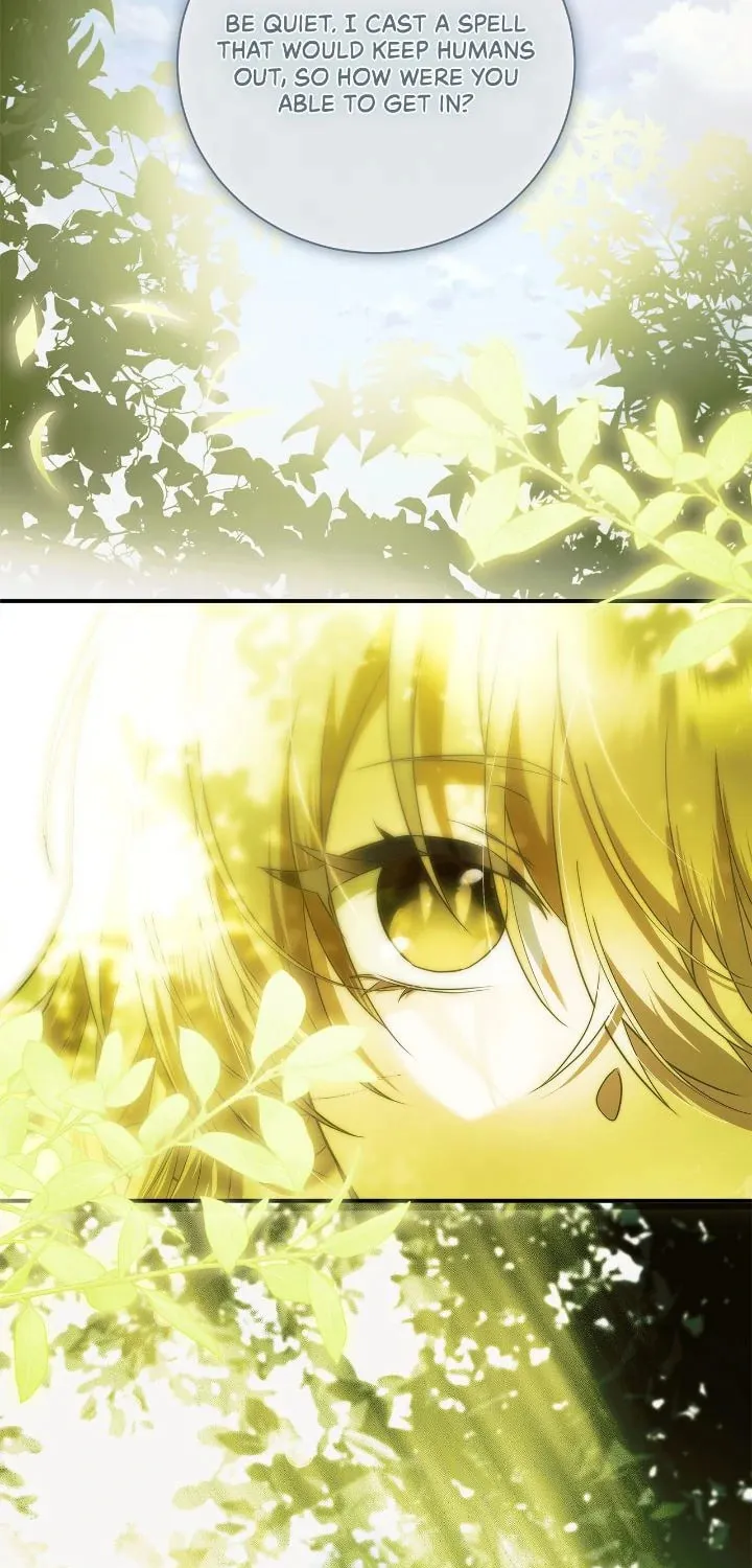 A Tipsy Marriage Proposal for the Emperor Chapter 92 page 67 - 