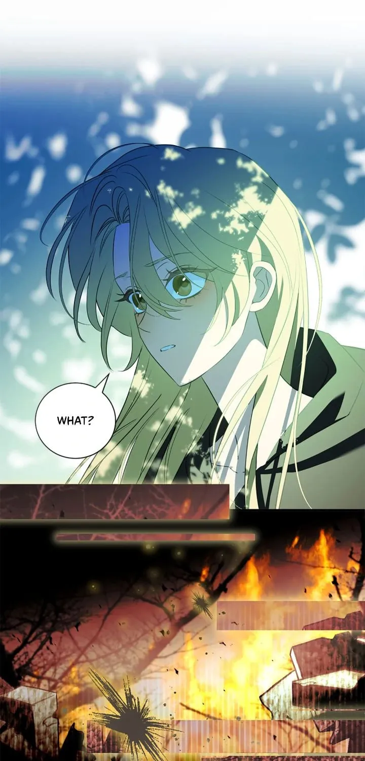 A Tipsy Marriage Proposal for the Emperor Chapter 93 page 71 - 